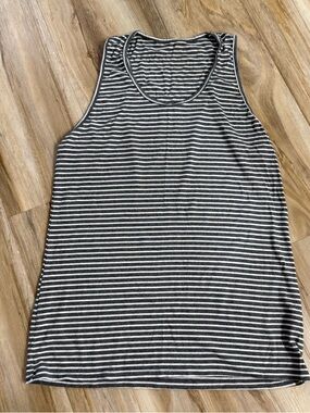Fighting Eel stripe tank size medium